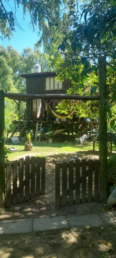 Cabana La Colmena Tigre Extérieur photo