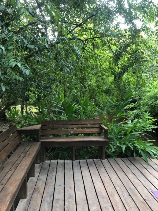 Cabana La Colmena Tigre Extérieur photo